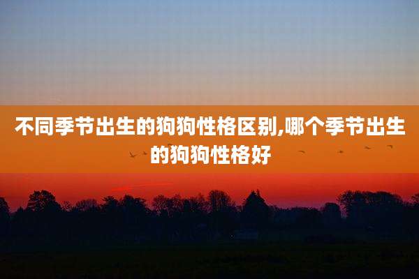 不同季节出生的狗狗性格区别,哪个季节出生的狗狗性格好