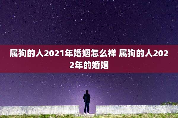 属狗的人2021年婚姻怎么样 属狗的人2022年的婚姻