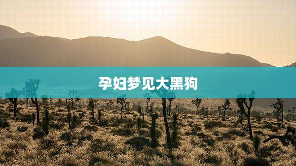 孕妇梦见大黑狗