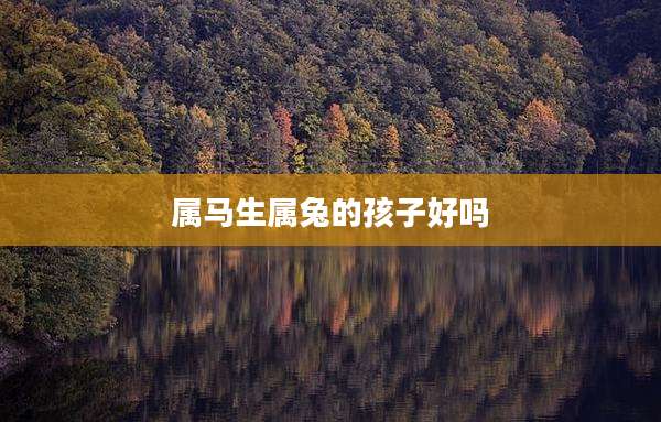 属马生属兔的孩子好吗
