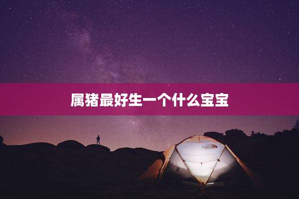 属猪最好生一个什么宝宝