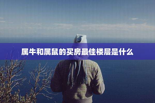 属牛和属鼠的买房最佳楼层是什么