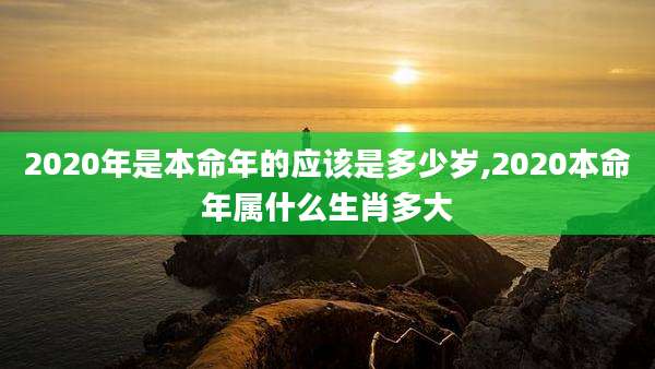 2020年是本命年的应该是多少岁,2020本命年属什么生肖多大