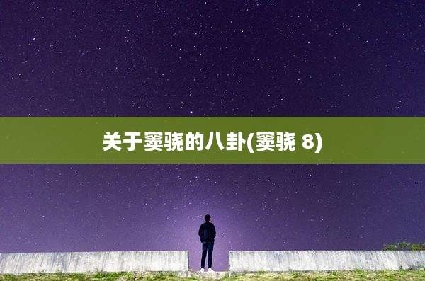 关于窦骁的八卦(窦骁 8)