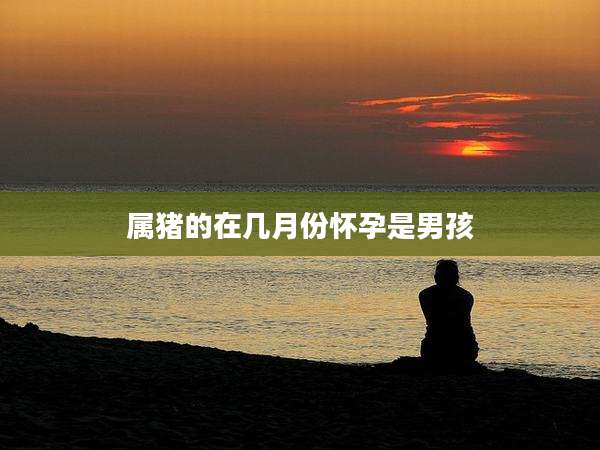 属猪的在几月份怀孕是男孩
