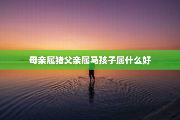母亲属猪父亲属马孩子属什么好
