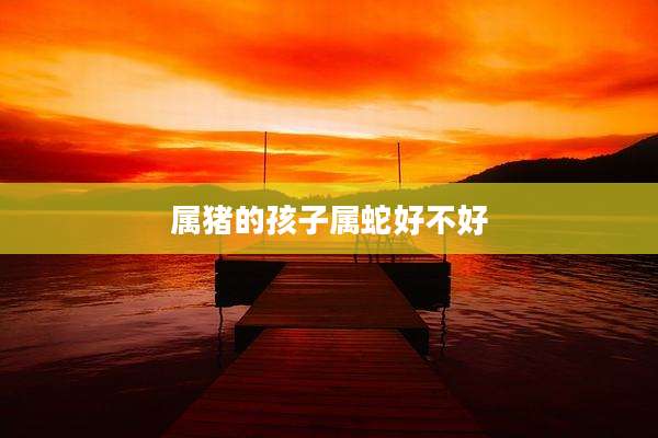 属猪的孩子属蛇好不好