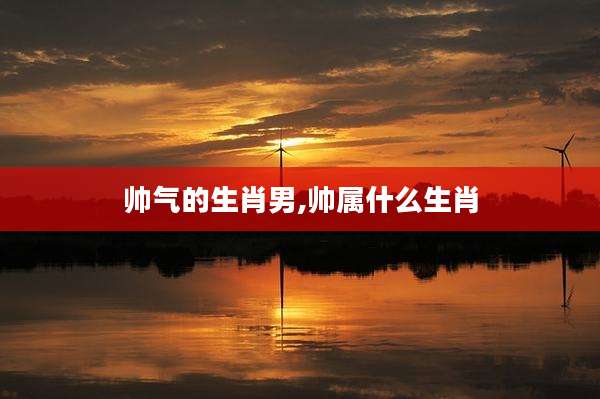 帅气的生肖男,帅属什么生肖