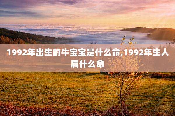 1992年出生的牛宝宝是什么命,1992年生人属什么命