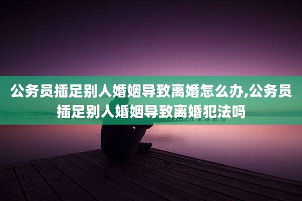 公务员插足别人婚姻导致离婚怎么办,公务员插足别人婚姻导致离婚犯法吗