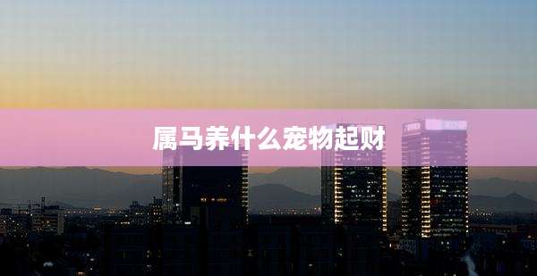 属马养什么宠物起财