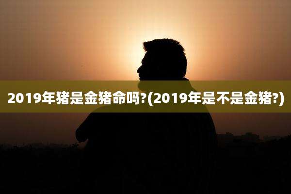 2019年猪是金猪命吗?(2019年是不是金猪?)