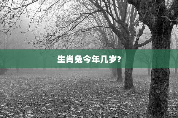 生肖兔今年几岁?
