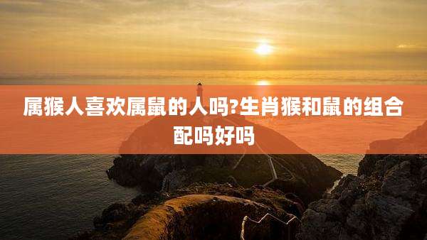属猴人喜欢属鼠的人吗?生肖猴和鼠的组合配吗好吗