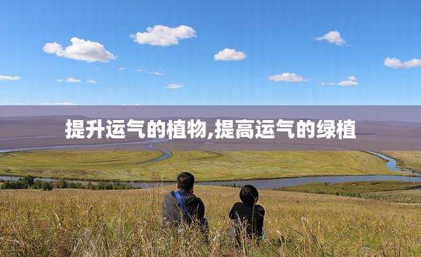 提升运气的植物,提高运气的绿植