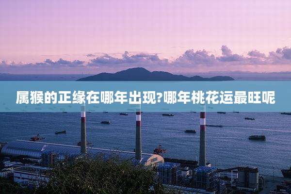 属猴的正缘在哪年出现?哪年桃花运最旺呢