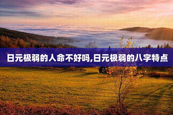 日元极弱的人命不好吗,日元极弱的八字特点