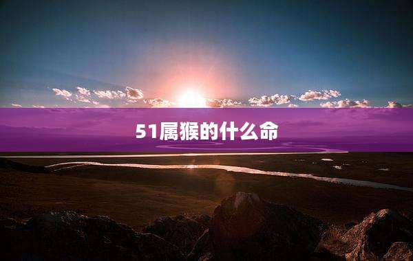 51属猴的什么命