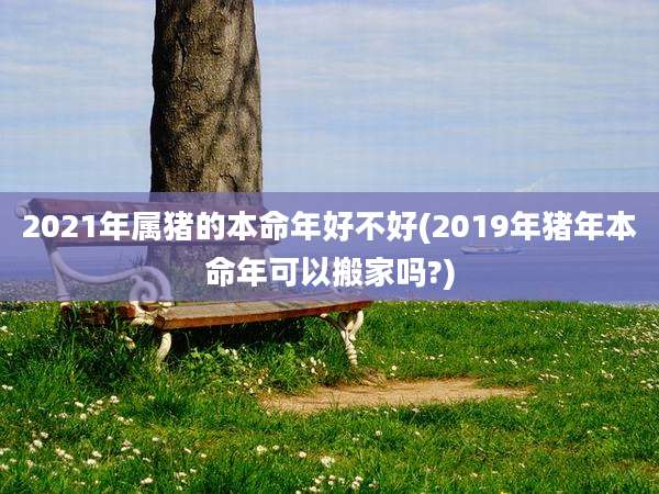 2021年属猪的本命年好不好(2019年猪年本命年可以搬家吗?)