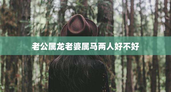 老公属龙老婆属马两人好不好