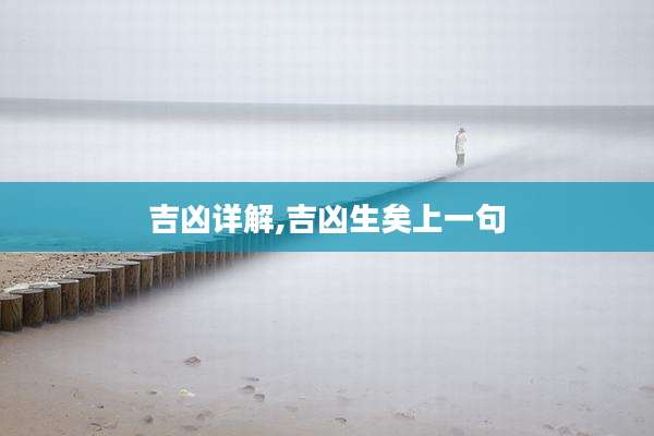 吉凶详解,吉凶生矣上一句
