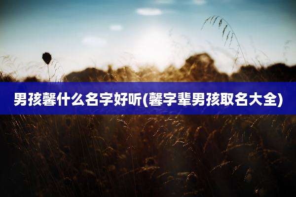 男孩馨什么名字好听(馨字辈男孩取名大全)