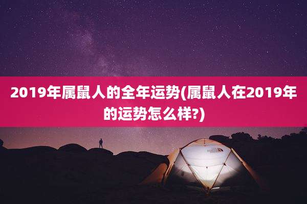 2019年属鼠人的全年运势(属鼠人在2019年的运势怎么样?)