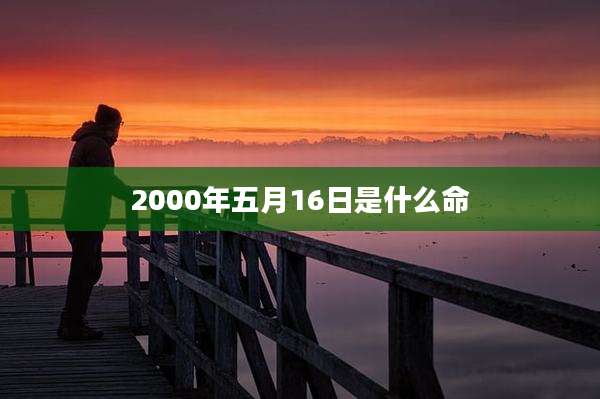 2000年五月16日是什么命