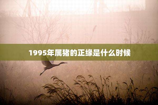 1995年属猪的正缘是什么时候
