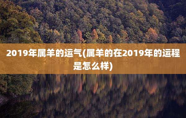 2019年属羊的运气(属羊的在2019年的运程是怎么样)