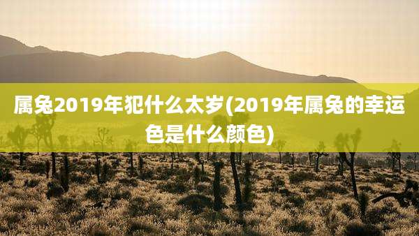 属兔2019年犯什么太岁(2019年属兔的幸运色是什么颜色)