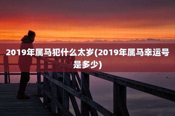 2019年属马犯什么太岁(2019年属马幸运号是多少)