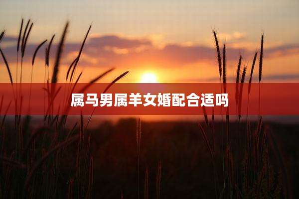 属马男属羊女婚配合适吗