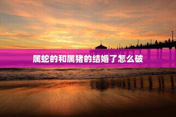 属蛇的和属猪的结婚了怎么破