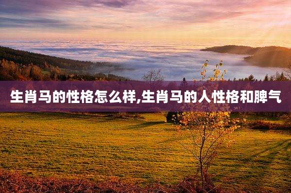 生肖马的性格怎么样,生肖马的人性格和脾气