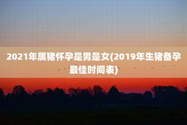 2021年属猪怀孕是男是女(2019年生猪备孕最佳时间表)