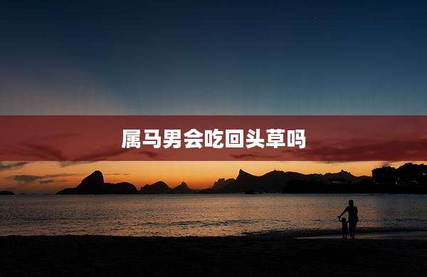属马男会吃回头草吗