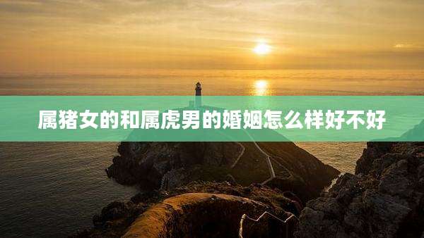 属猪女的和属虎男的婚姻怎么样好不好