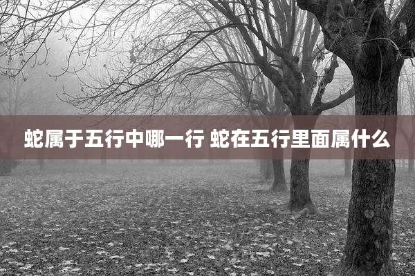 蛇属于五行中哪一行 蛇在五行里面属什么