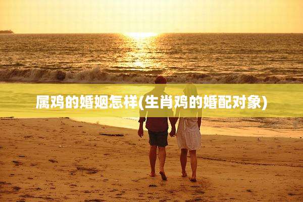 属鸡的婚姻怎样(生肖鸡的婚配对象)