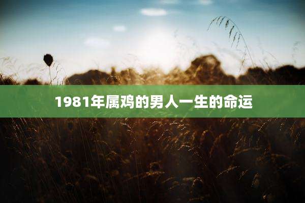 1981年属鸡的男人一生的命运