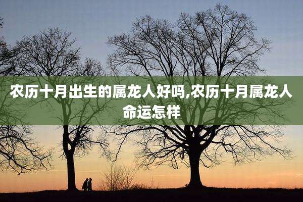 农历十月出生的属龙人好吗,农历十月属龙人命运怎样