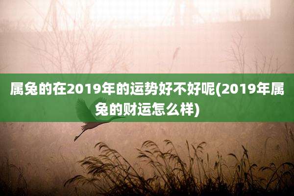 属兔的在2019年的运势好不好呢(2019年属兔的财运怎么样)