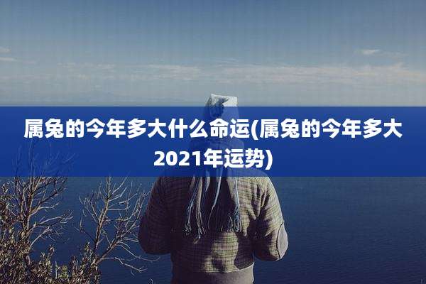 属兔的今年多大什么命运(属兔的今年多大2021年运势)