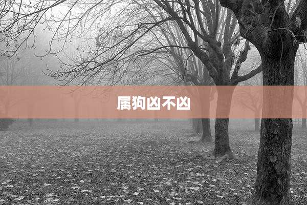 属狗凶不凶