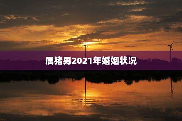 属猪男2021年婚姻状况