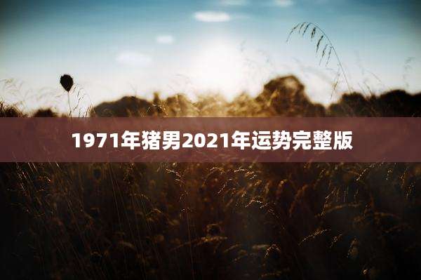 1971年猪男2021年运势完整版