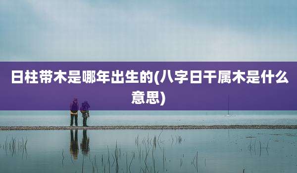 日柱带木是哪年出生的(八字日干属木是什么意思)