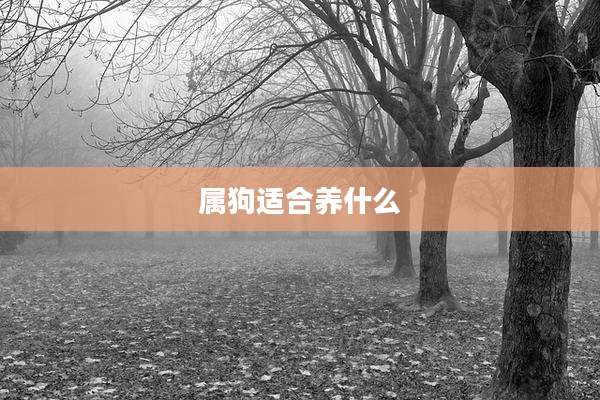 属狗适合养什么