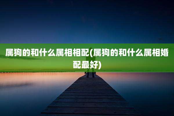 属狗的和什么属相相配(属狗的和什么属相婚配最好)